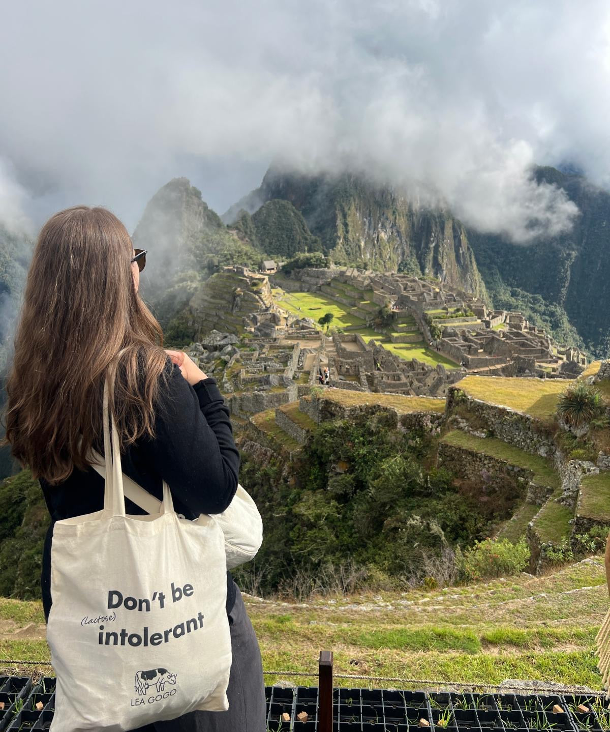 Tote Bag - Don't be intolerant