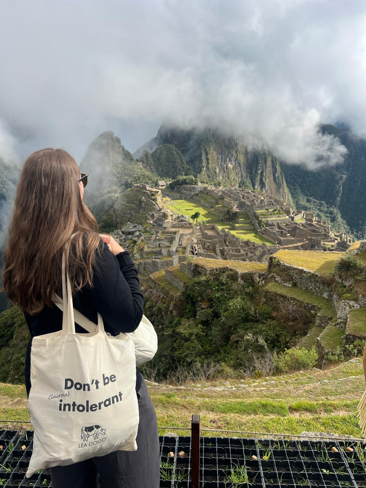 Tote Bag - Don't be intolerant